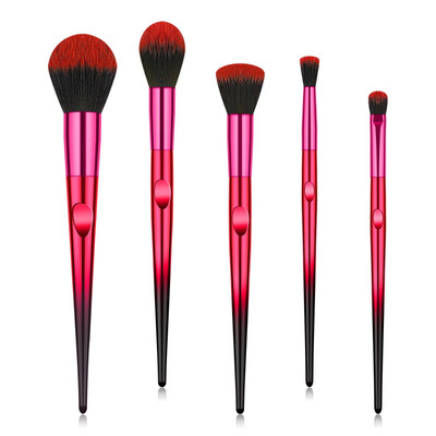 

Brand New 5 Pcs Beautiful Blending Makeup Brushes Suit Professional Beauty Makeup Tools Colorful
