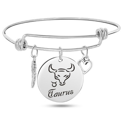

12 Constellation Wire Stainless Steel Bracelet Birthstone Bangle Bracelets Charm Bracelet