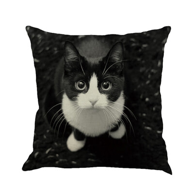 

〖Follure〗Cat Square Pillowcase Home Decoration Car Sofa Bedroom Cushion Cover