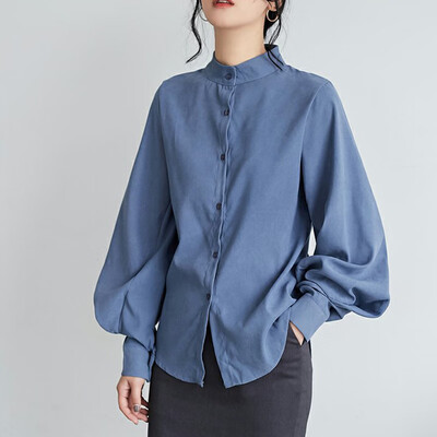 

Autumn Women Blouse Long sleeve Turn Down Collar Elegant Girls Shirt Plus Size OL Office Harajuku Korean Trendy Clothes