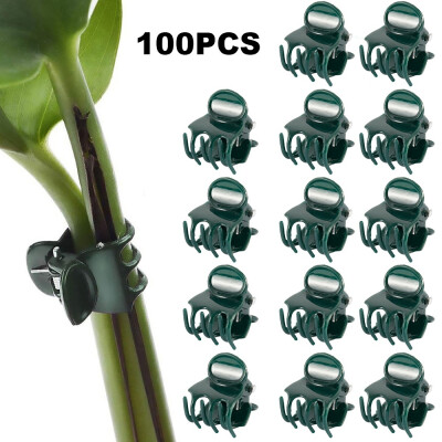 

100PCS Dark Green Plant Support Clips Garden Ulable Orchid Stem Clips Flower Spike Clips