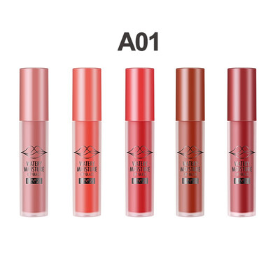 

5pcs Matte Lipstick Set Long Lasting lip gloss Makeup lip tint 5 Colors Set Waterproof Easy to wear Moisturizing