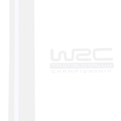 

Pair WRC Stripe Car Covers Vinyl Racing Sports Decal Head Car Sticker for Ford Focus VW Cruze Renault