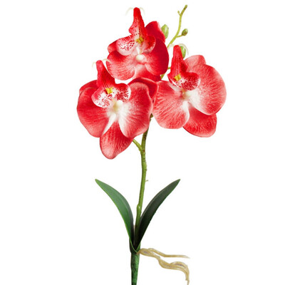 

1PC Mini Phalaenopsis Silk Flowers Artificial Decorative Flower Creative DIY Accessories wedding decoration