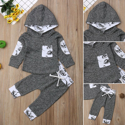 

Dinosaur Newborn Baby Boy Winter Outfits Clothes Hooded Tops Pants 2Pcs Set