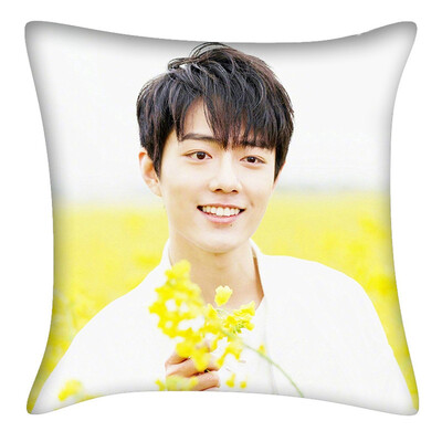 

Chen Qinglings Best-selling Surrounding Sofa Car Cushion Double-sided Pillow