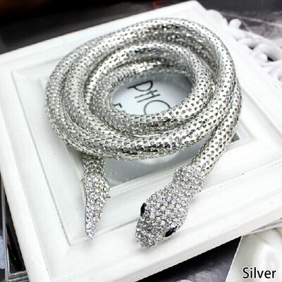 

Crystal Vintage Snake Collar Necklace Modern waist belt Chunky Choker Funny Necklace Collar
