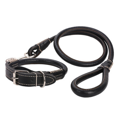 

Durable Quality Leather Weaving Round Belt Dog Leash Comfortable Classic Pet Dog Collar Pet Dog Supplies