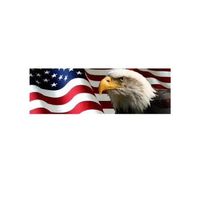 

Car Sticker American Flag Eagle Rear Window Graphic Decal for Truck SUV 13536cm