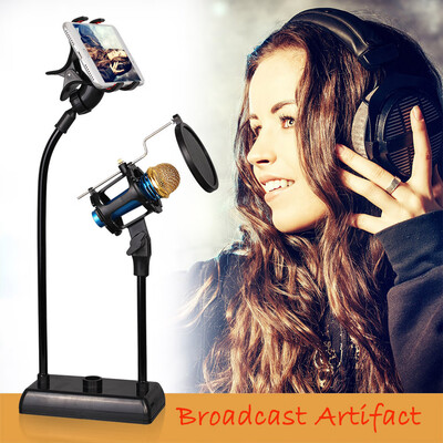 

〖Follure〗Microphone Suspension Boom Arm Stand Shock Mount For Broadcast Studio Mic