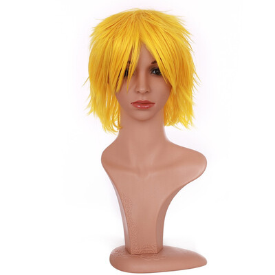

Short Cosplay Wig Women Men Fluffy Straight Anime Comic Hairstyle Party Costume Dress Synthetic Hair Pixie Wigs
