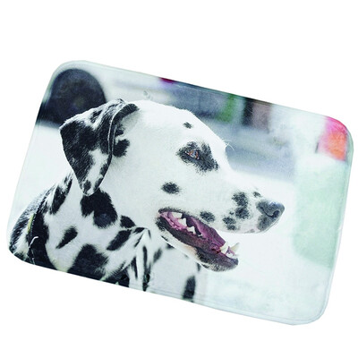 

Toponeto Popular Door Room Floor Mat Indoor Carpets Rag Bathmat Home Decor
