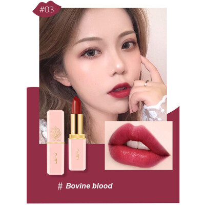 

6 Colors Professional Lips Makeup Waterproof Shimmer Long Lasting Pigment Nude red Shimmer Lipstick Luxury Makeup Cosmetic