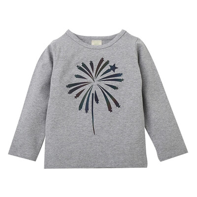 

New Autumn Baby Kids Girl Long Sleeve T-Shirts Children Girls Floral Print Tops Tees Casual Blouse