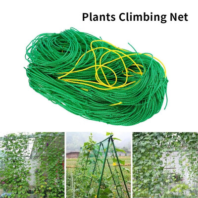 

New Melon Fruit Morning Glory Vine Net Flower Vine Plant Gardening Net