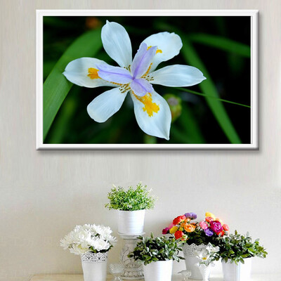 

Toponeto 5D Embroidery Paintings Rhinestone Pasted DIY Diamond Painting Cross Stitch
