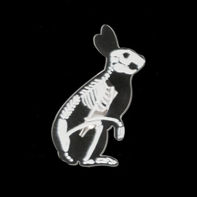 

1Pc Creative Transparent Acrylic Skeleton Brooches Pins Mouse Rabbit Penguin Bird Pig Cat Brooch