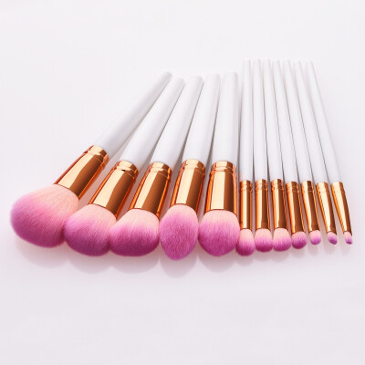 

Value Pack 12pcsset Professional Makeup Brush Set is a portable travel makeup brush outdoor beauty kit