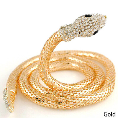

Crystal Vintage Snake Collar Necklace Modern waist belt Chunky Choker Funny Necklace Collar