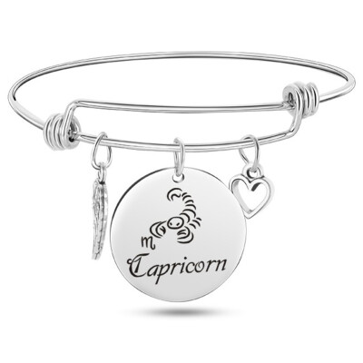 

12 Constellation Wire Stainless Steel Bracelet Birthstone Bangle Bracelets Charm Bracelet