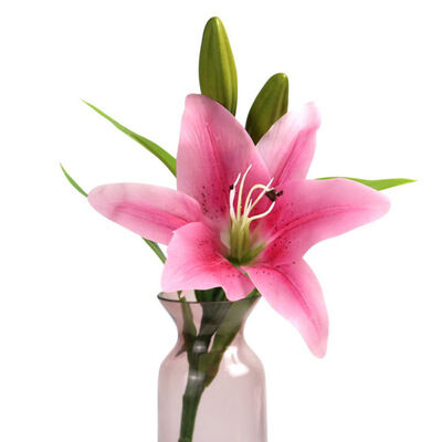 

Simulation Lily for Lady Gift Artificial Large Lily Romantic Flower Lily Branch for Home Shop Decor Fake Flower Bouquet Supply