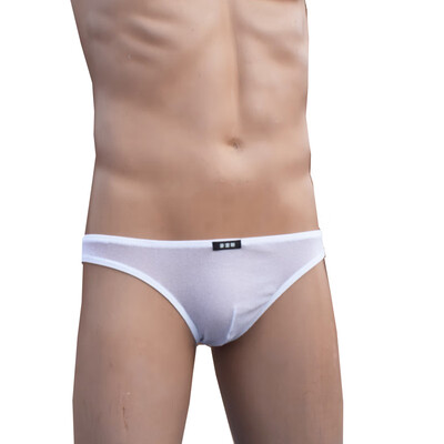 

Men Mesh See Through Bikini Knickers Triangle Briefs Soft Thin Sexy Underpants