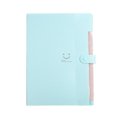 

1 PCS Folder Multi-layer Test Paper Clip File Bag Storage Kit