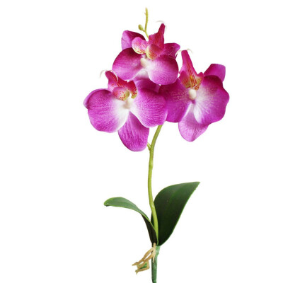 

1PC Mini Phalaenopsis Silk Flowers Artificial Decorative Flower Creative DIY Accessories wedding decoration