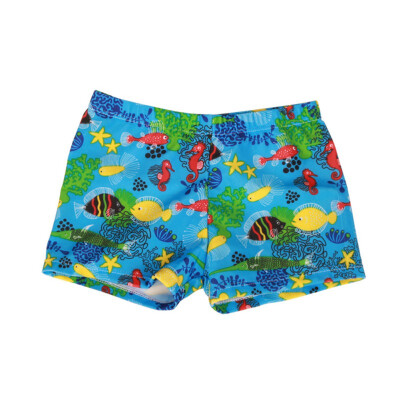 

Baby Boys Summer Print Pattern Swimming Pants Kids Children Soft Spandex Elastic Clothing Casual Short Pants