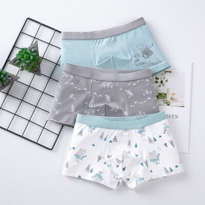 

3pcs 3-14T Baby Boy Underpants Casual Fashion Baby Boy Panties Childrens Cartoon Printing Underpants Kids Boxer