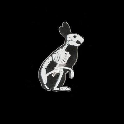 

Halloween Transparent Resin Brooches Pins Cartoon Cartoon Animal Collar Badge for Jeans Bags Backpacks Party Costume Decorations