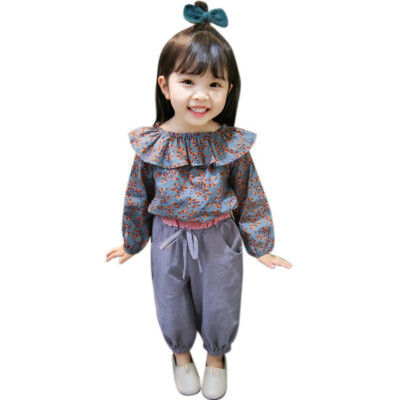 

Autumn Baby Girls Clothes Set Casual Long Sleeve Floral Print Pullover T-shirts TopsPants Suits for Children Kids Costume Sets