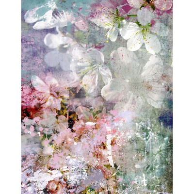 

White butterfly Photo Backdrop 57FT Vinyl Fabric Cloth Digital Printing Photo Background s-2155