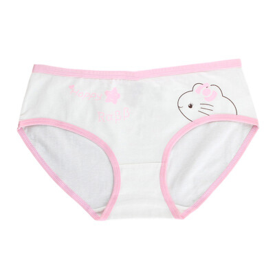 

Fashion Kids Panties Girls Briefs Female Child Underwear Ladies Underpanties Children Clothing 9-20T