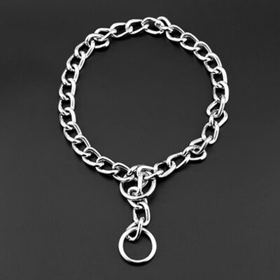 

Dog Training Collar Chain Adjustable Pet Supply Metal Dog Collar Pet Supplies Trend