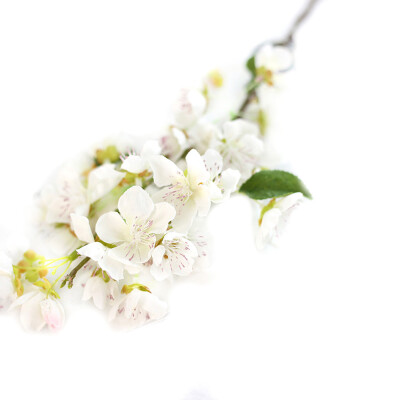 

Gobestart Artificial Fake Flowers Leaf Cherry Blossoms Floral Wedding Bouquet Party Decor