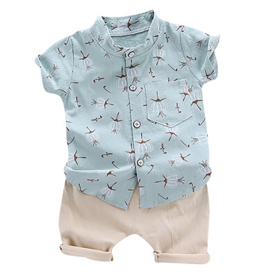 

Summer Set Baby Boys Casual Short Sleeve Floral Pattern shirt TopsShorts Set