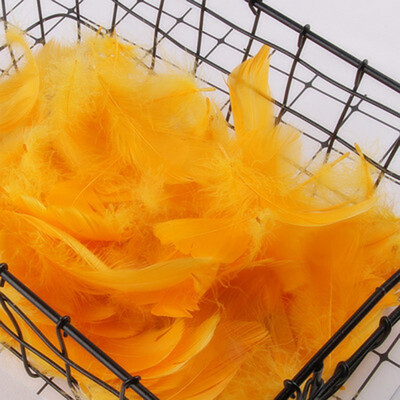 

100pcspack Home Party Macaron DIY Birthday Party Romantic Wedding Decoration Color Feathers Transparent Bubble Balloons Fillers