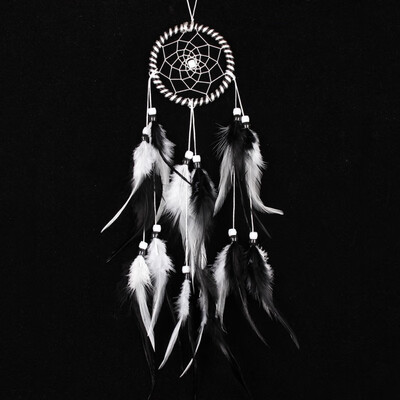 

Stylish Dream Catcher Feather Car Decor Dreamcatcher Home Wall Hanging Decor