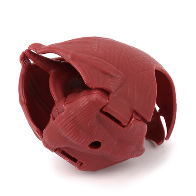 

YIWULACreative Simulation Dinosaur Toy Model Deformed Dinosaur Egg Collection For Kids