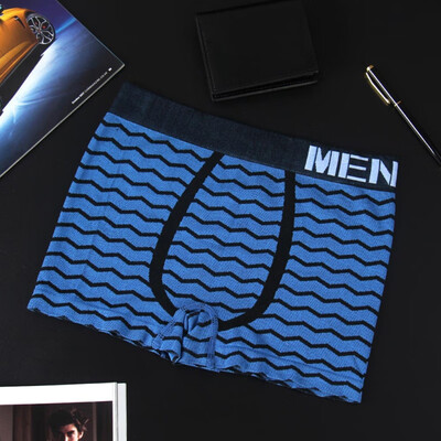 

Striped Print Mens Boxer Briefs Soft Light Thin Good Elastic Underwear