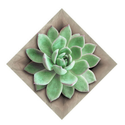 

Floor Wall Stickers Bike Decorative Tile Decor Sticker 10 pcslot 3D Europeian Style Creative Bedroom Living Room Floor Stickers