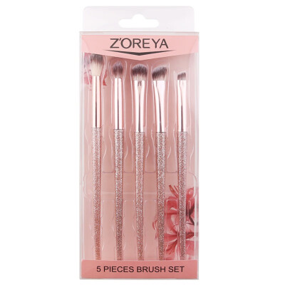 

5PcsSets Eye Makeup Brushes Set For Beginner Beauty Makeup Tools Eye Face Brush Set with Case