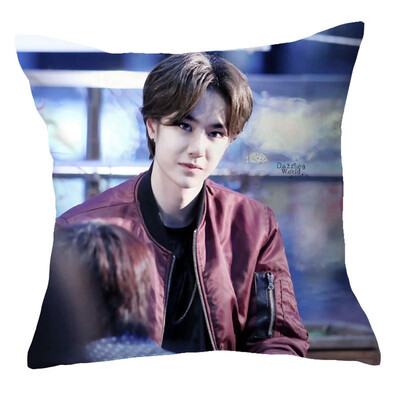 

1Pc Chen Qingling Wang Yibo Pillow Case Cover Cushion Sofa Car Winter Home Decor