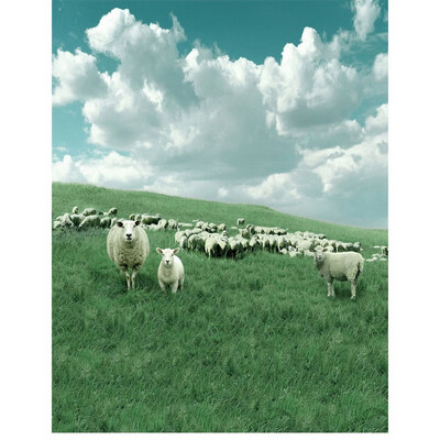 

Sheep&Clouds Photo Backdrop 57FT Vinyl Fabric Cloth Digital Printing Photo Background s-2403