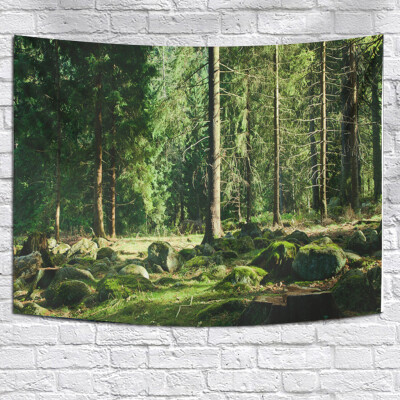 

Toponeto Misty Forest Tapestry Wall Hanging Nature Landscape Tapestry Sunshine Through Tree Tapestries For Bedroom Living Room