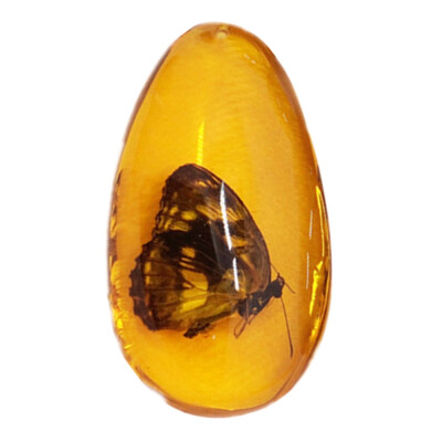 

Drop-shaped Scorpion Butterfly Crab Specimen Amber Pendant Beeswax Insect Specimen Amber Pendant Home Hanging Ornament