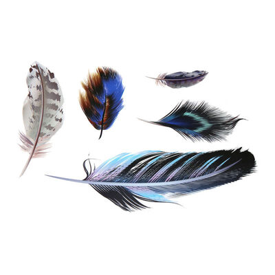 

2019 Feather Car Stickers Auot Products Car DIY Personalized Feathers Stickers Scratches Decorative Car Stickers