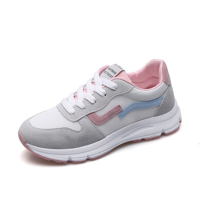 

LZJ New Brand 2018 Breathable Mesh Women Casual Shoes Vulcanize Female Fashion Sneakers Lace Up Soft High Leisure Footwears
