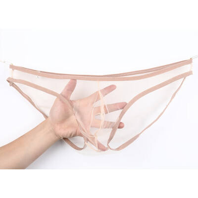 

Men Sexy Sissy Mesh Underwear Transparent See Through Boxer Briefs Thongs Tangas